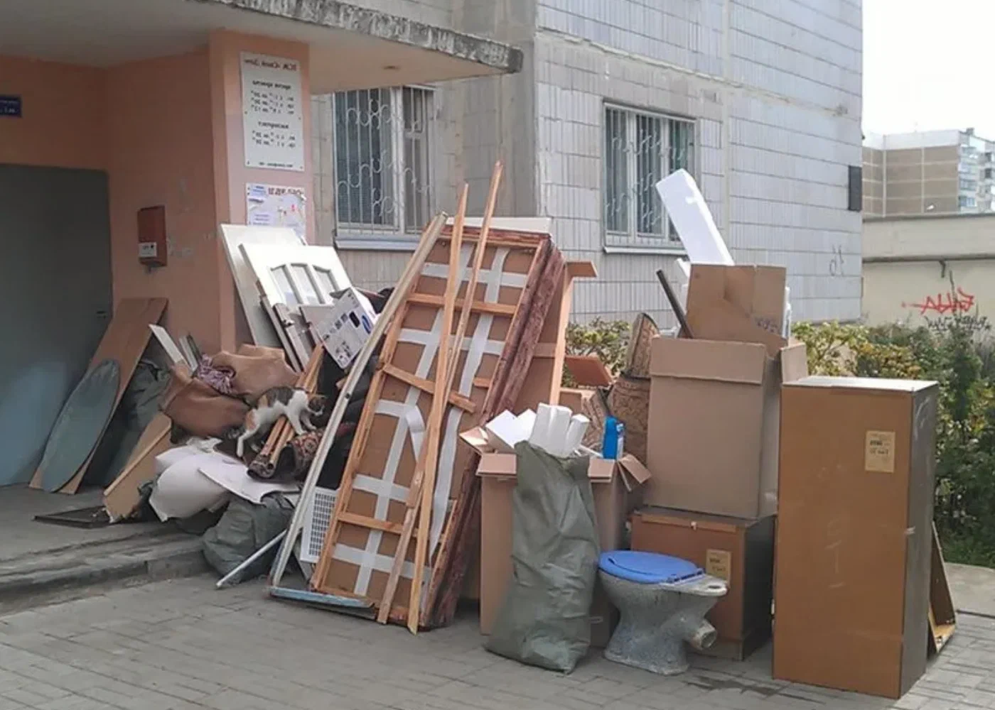 Профессиональный вывоз мусора из квартиры в Ельце в октябре