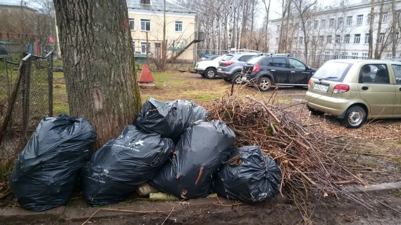 Вывоз мусора после субботника в Ельце от ПроМусор – уборка и утилизация отходов от 2413 руб