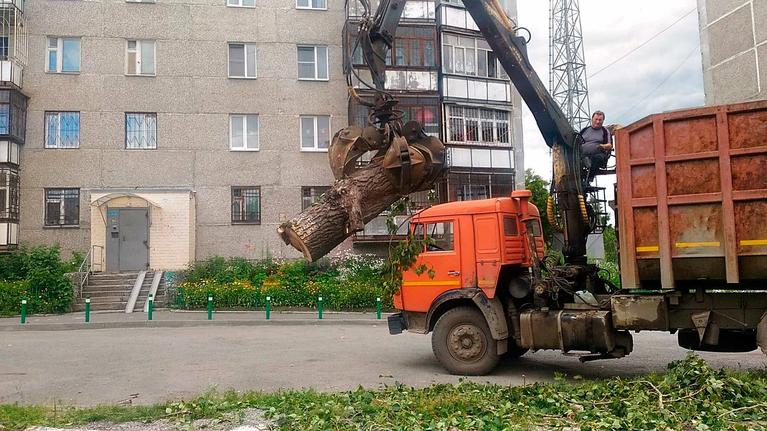 Вывоз спиленных веток и деревьев в Ельце от ПроМусор: порубочные остатки, утилизация, цена от 2978 руб