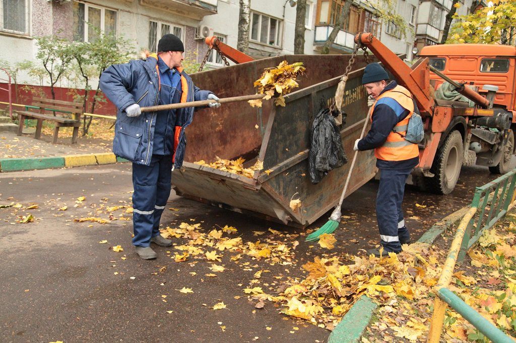 Вывоз опавшей листвы и растительного мусора в Ельце от ПроМусор – цена от 4621 руб., быстрая уборка и утилизация